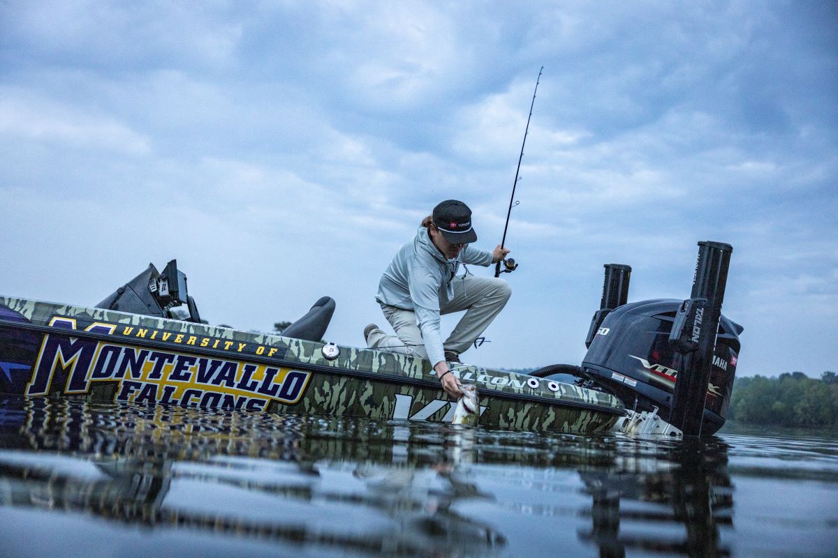 SEVIIN GF SPINNING REEL