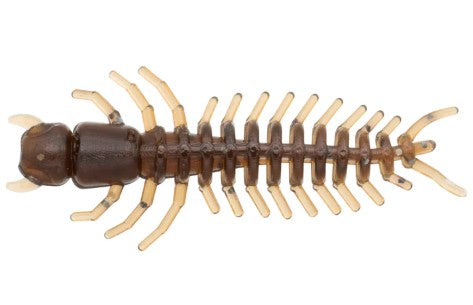MICRO FINESSE HELLGRAMMITE