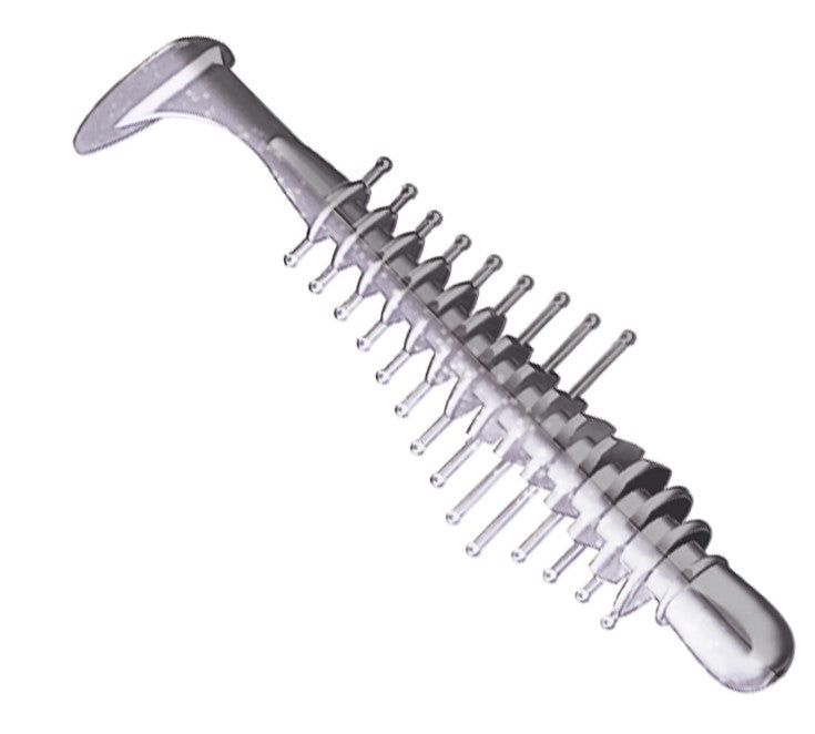 TICKLE SHAD