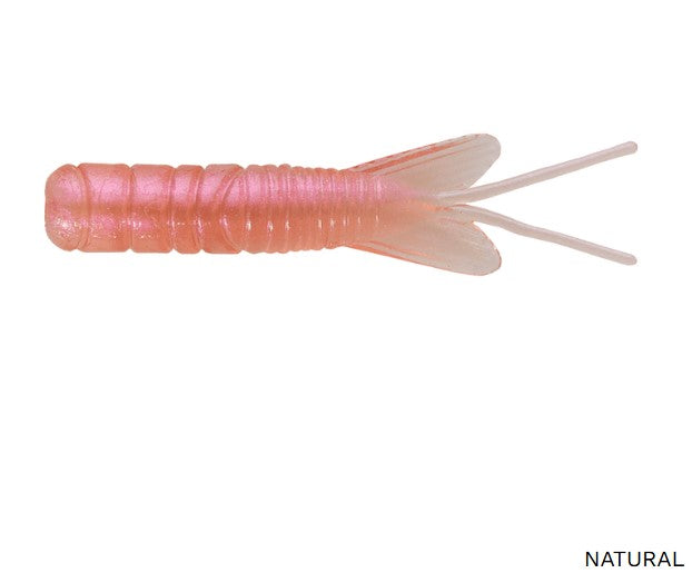 PAN-CANDY LARVAE BUG