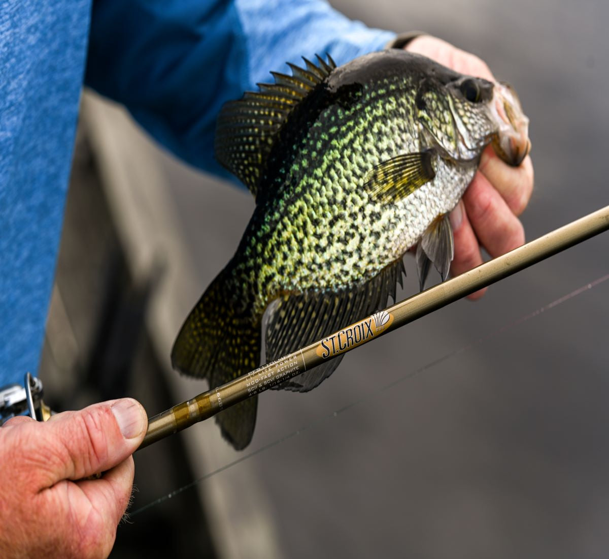 Panfishing With the St. Croix Avid Panfish 