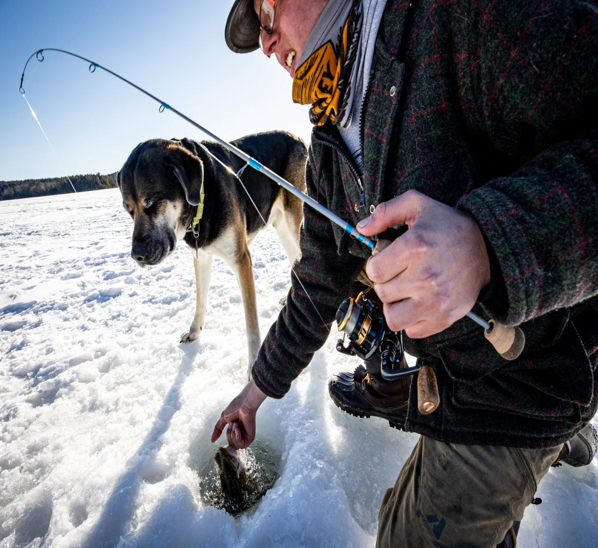 TUNDRA ICE FISHING RODS