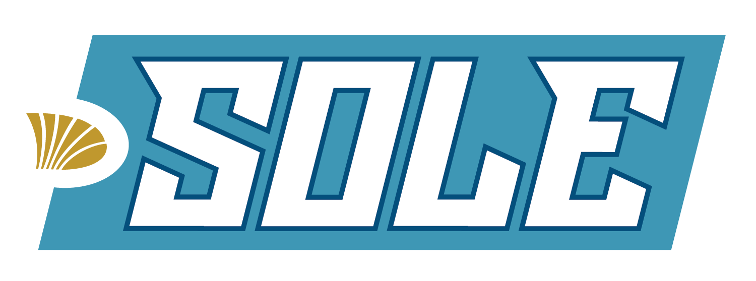 SOLE INSHORE FISHING SYSTEM