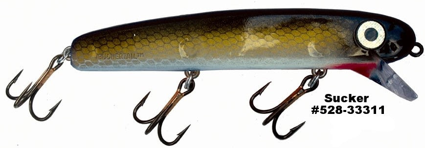 SHALLOW RAIDER