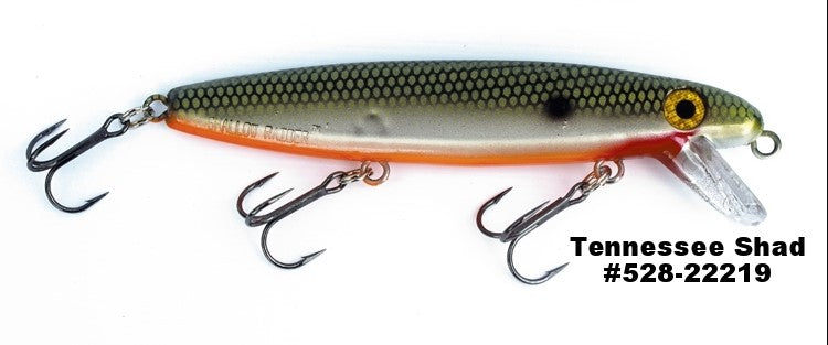 SHALLOW RAIDER