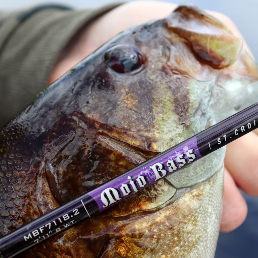 ST CROIX MOJO BASS FLY RODS for Ultimate Fishing Adventure — St. Croix Rods