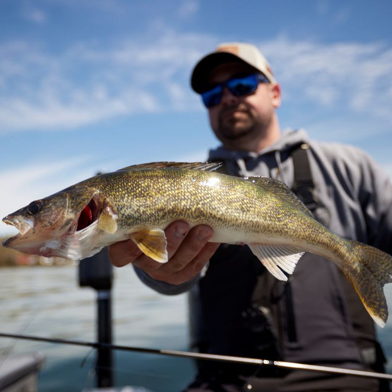 AVID SERIES WALLEYE SPINNING