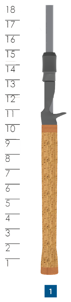 AVID SERIES FRESHWATER CASTING