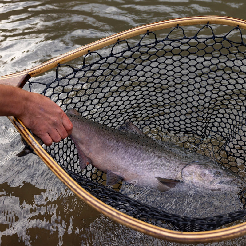 LEGEND ELITE SALMON STEELHEAD