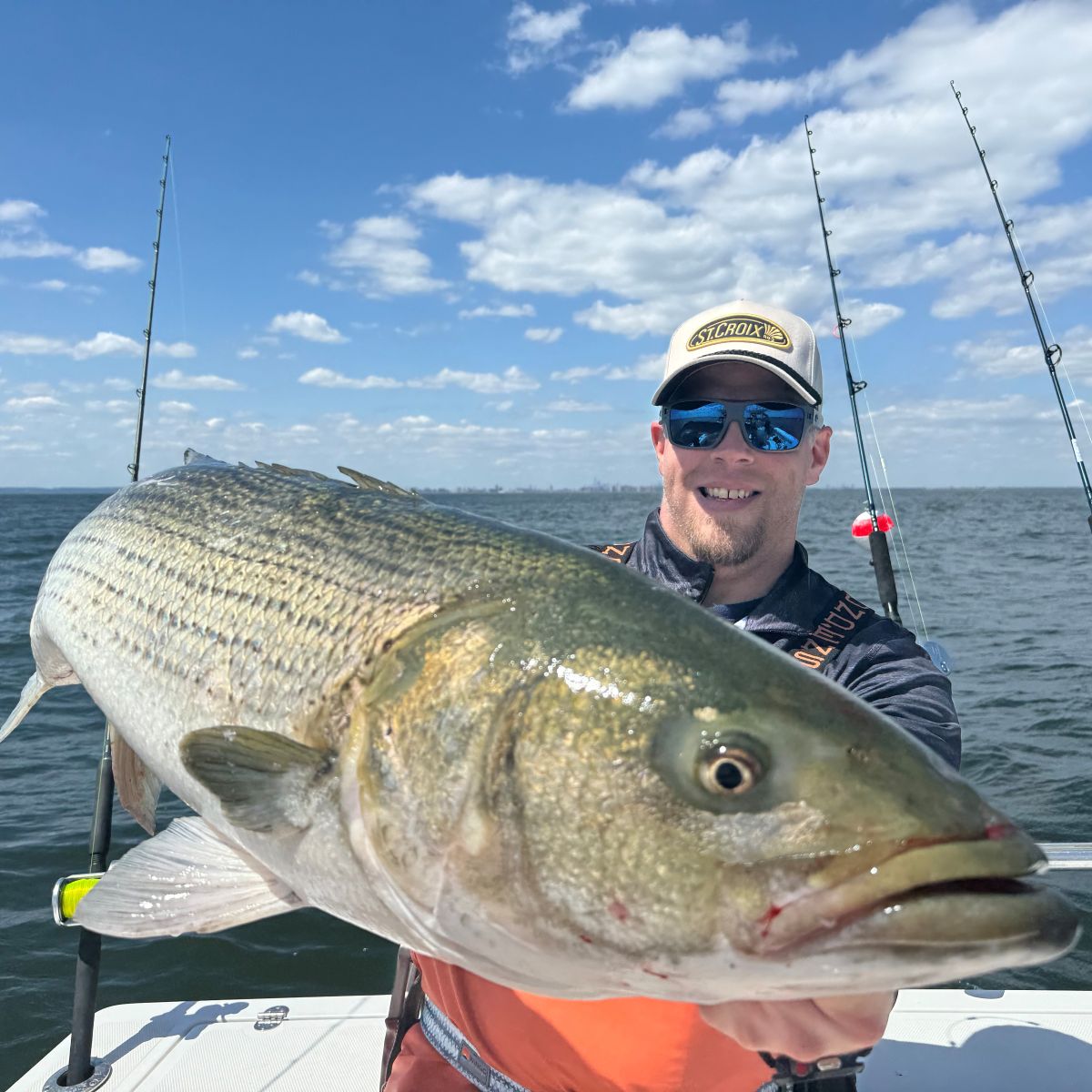 ROGUE V JIG CONVENTIONAL ROD