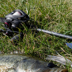 BLACK BASS GLASS CASTING