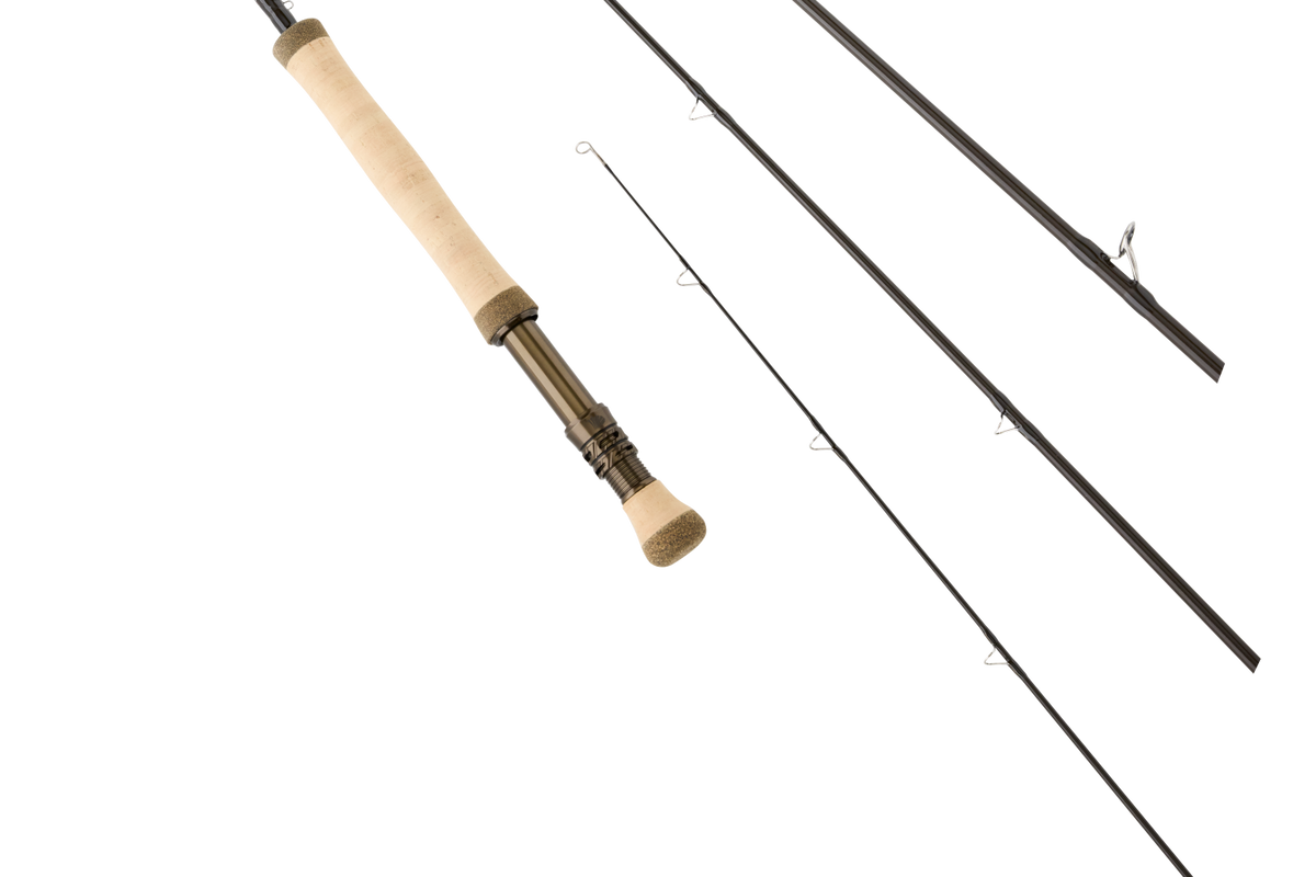 TANNIC BASS
