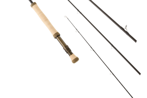 TANNIC BASS