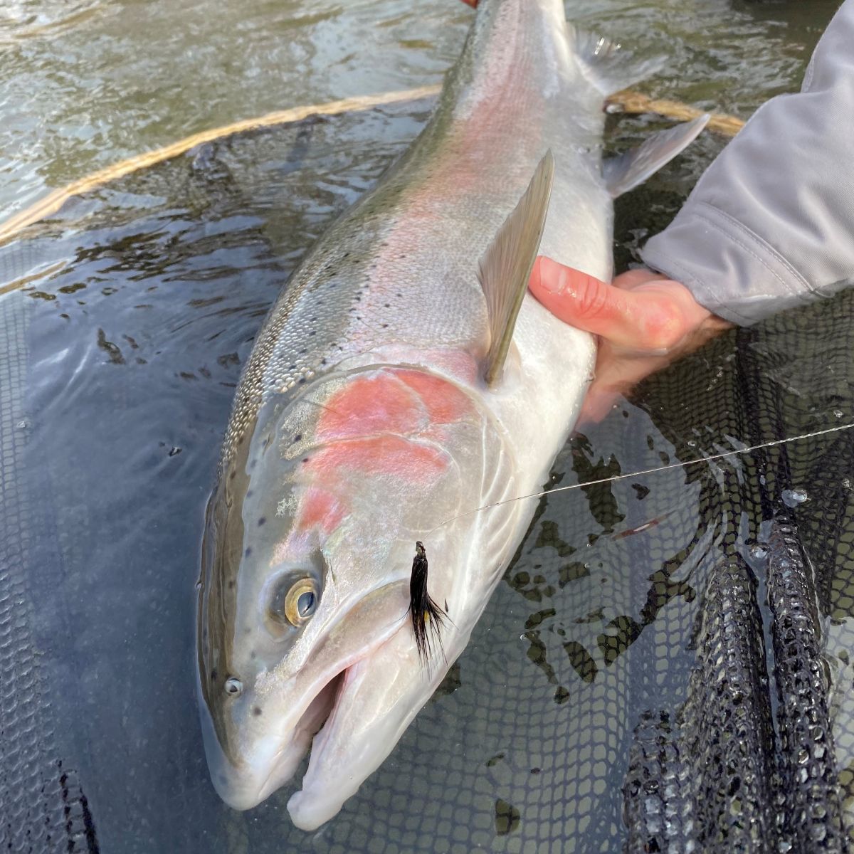 IMPERIAL® USA FLY SWITCH RODS