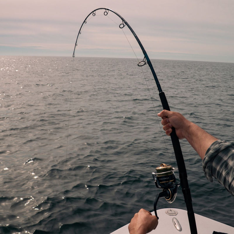 ROGUE V SALT SPINNING