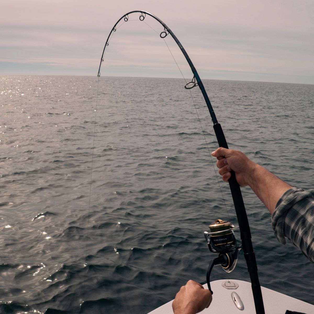 ROGUE V SALT SPINNING