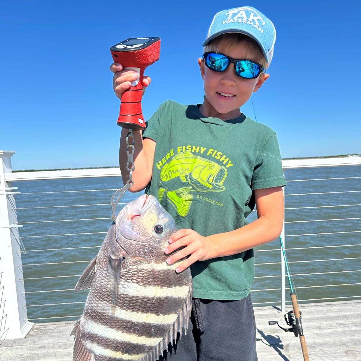 AVID INSHORE SERIES SPINNING