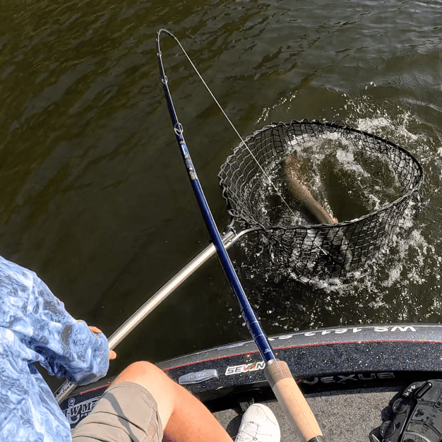 St. Croix TMGSC710MF Legend Tournament Musky Rod St. Croix TMGSC710MF Legend Tournament Musky Rod