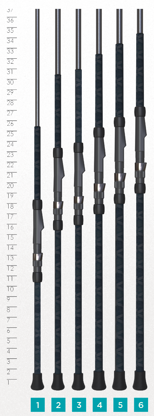 TRIUMPH SURF SPINNING ROD