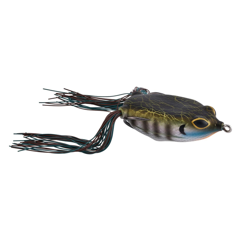 SWAMP LORD JR. HOLLOW BODY FROG