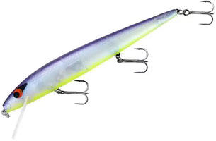 SMITHWICK ROGUE PERFECT 10 ROGUE JERKBAIT