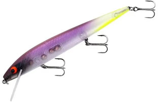 SMITHWICK ROGUE PERFECT 10 ROGUE JERKBAIT
