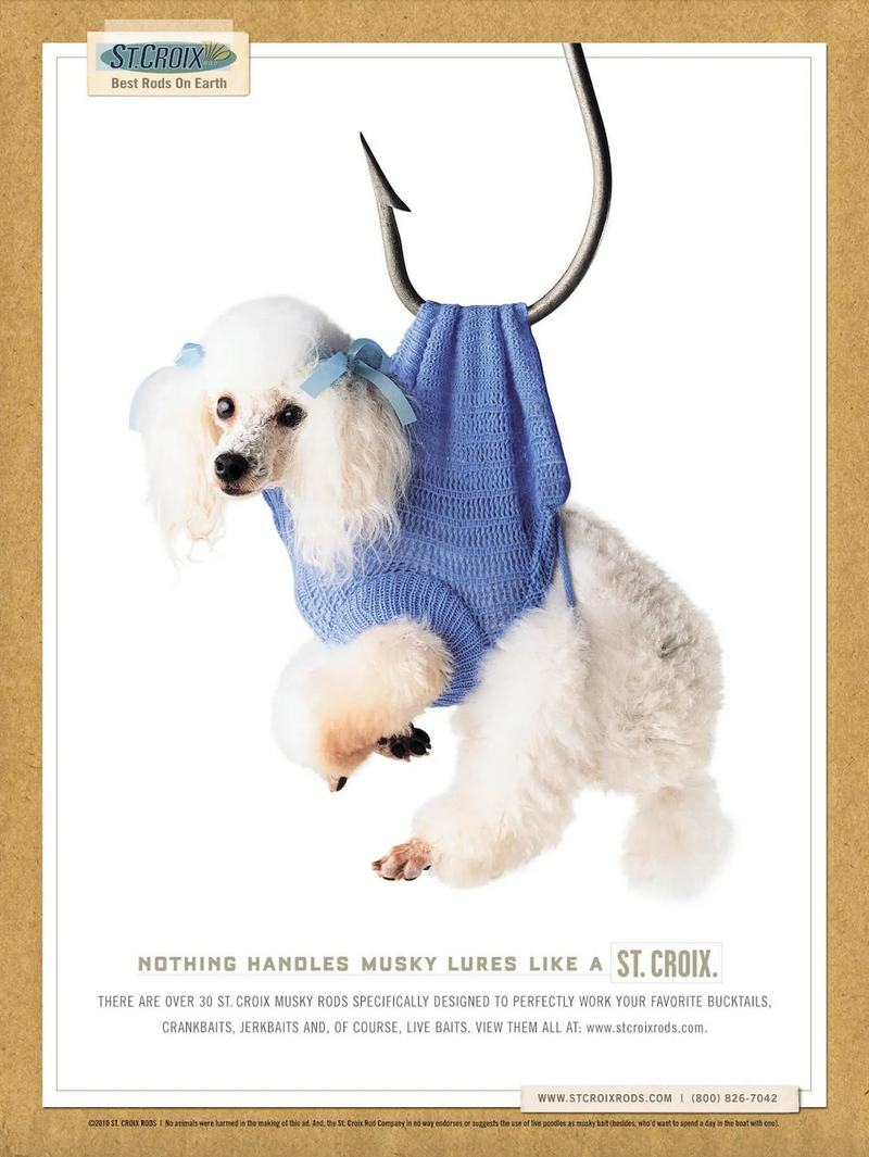 POODLE POSTER