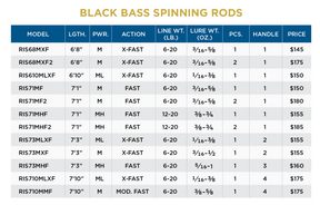 BLACK BASS SPINNING