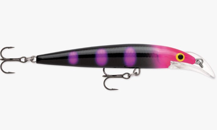 Lot de 5 leurres de pêche Rapala Husky Jerk Shad Rap X-Rap Lot de 5 leurres de pêche Rapala Husky Jerk Shad Rap X-Rap