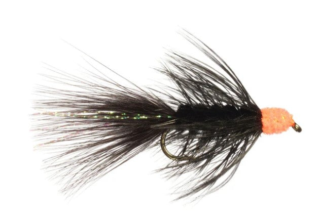 EGG-SUCKING LEECH FLIES