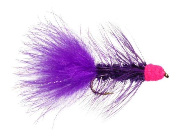 EGG-SUCKING LEECH FLIES