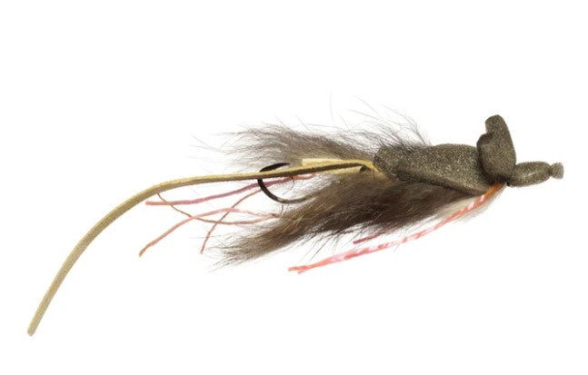 MASON'S MOUSE TRAP FLIES