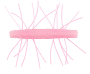 Z - MAN FISHING PRODUCTS - FUZZY TRD - St. Croix Rods - Factory Store