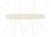 Z - MAN FISHING PRODUCTS - FUZZY TRD - St. Croix Rods - Factory Store