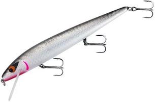 SMITHWICK ROGUE PERFECT 10 ROGUE JERKBAIT