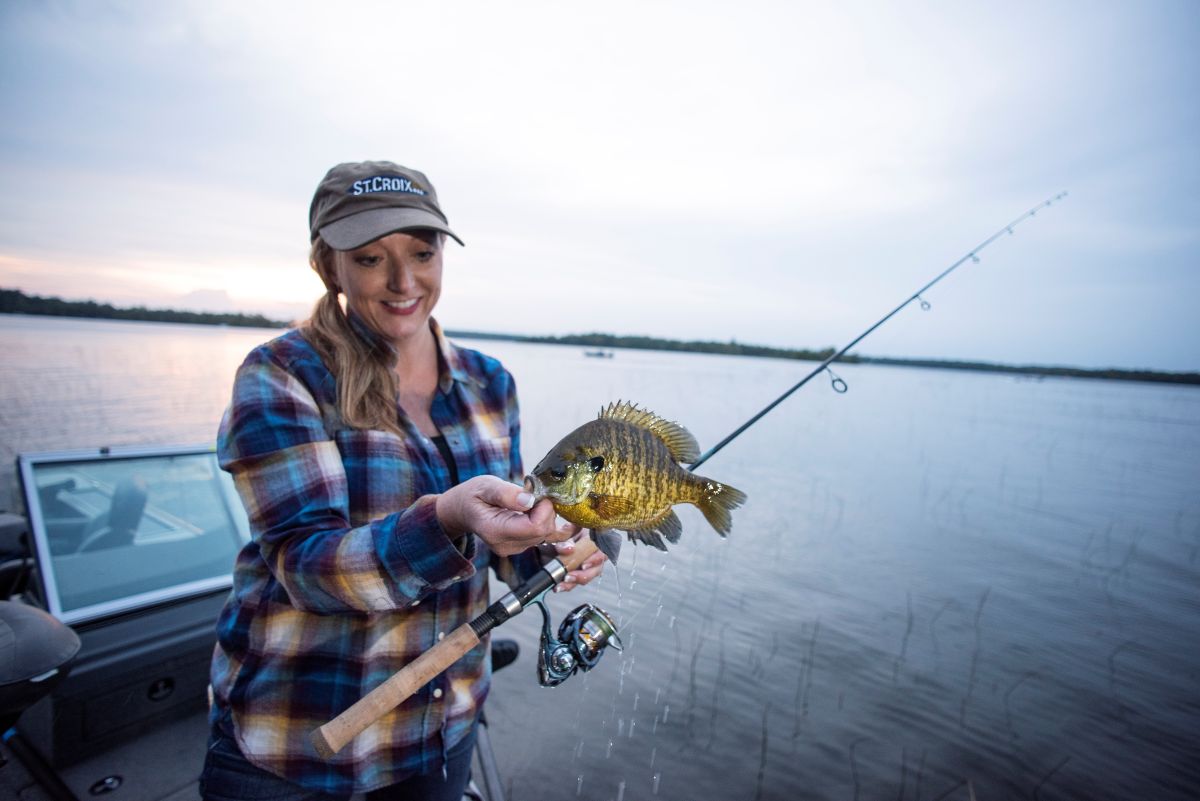 Retired Premier PS60LF Spinning