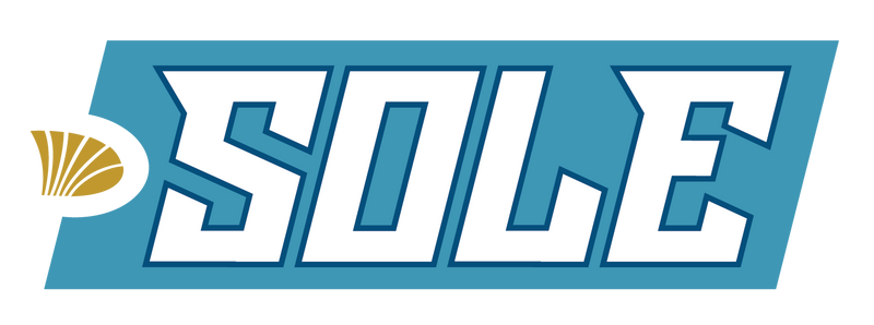 SOLE INSHORE FISHING SYSTEM