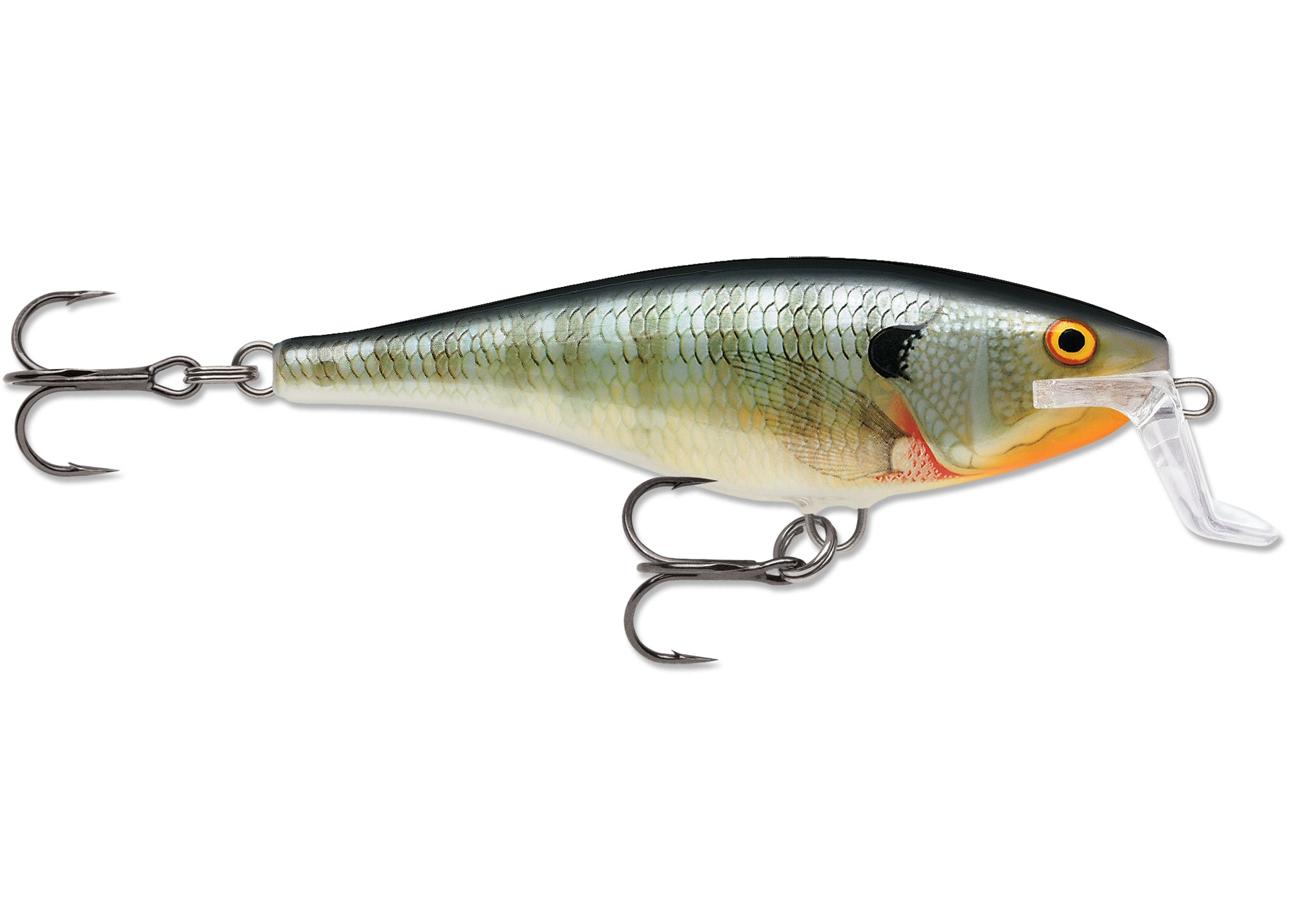 RAPALA SUPER SHAD RAP - Premium Fishing Lures for Anglers — St
